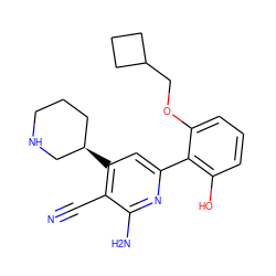 N#Cc1c([C@@H]2CCCNC2)cc(-c2c(O)cccc2OCC2CCC2)nc1N ZINC000028359551