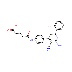 N#Cc1c(-c2ccc(NC(=O)CCCC(=O)O)cc2)cc(-c2ccccc2O)nc1N ZINC000028004588