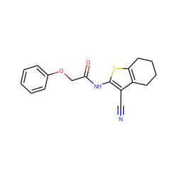 N#Cc1c(NC(=O)COc2ccccc2)sc2c1CCCC2 ZINC000000264229