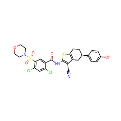 N#Cc1c(NC(=O)c2cc(S(=O)(=O)N3CCOCC3)c(Cl)cc2Cl)sc2c1C[C@H](c1ccc(O)cc1)CC2 ZINC000029132702