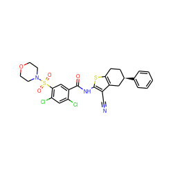 N#Cc1c(NC(=O)c2cc(S(=O)(=O)N3CCOCC3)c(Cl)cc2Cl)sc2c1C[C@H](c1ccccc1)CC2 ZINC000029133867