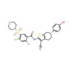 N#Cc1c(NC(=O)c2cc(S(=O)(=O)N3CCOCC3)c(Cl)cc2Cl)sc2c1CC[C@@H](c1ccc(O)cc1)C2 ZINC000026643607