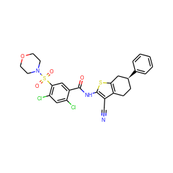 N#Cc1c(NC(=O)c2cc(S(=O)(=O)N3CCOCC3)c(Cl)cc2Cl)sc2c1CC[C@H](c1ccccc1)C2 ZINC000026648963