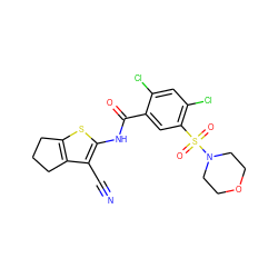 N#Cc1c(NC(=O)c2cc(S(=O)(=O)N3CCOCC3)c(Cl)cc2Cl)sc2c1CCC2 ZINC000000827253