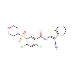 N#Cc1c(NC(=O)c2cc(S(=O)(=O)N3CCOCC3)c(Cl)cc2Cl)sc2c1CCCC2 ZINC000000862376