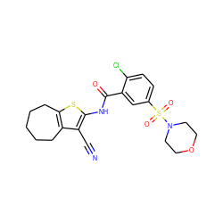 N#Cc1c(NC(=O)c2cc(S(=O)(=O)N3CCOCC3)ccc2Cl)sc2c1CCCCC2 ZINC000013588578