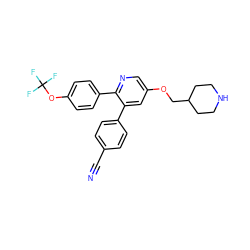 N#Cc1ccc(-c2cc(OCC3CCNCC3)cnc2-c2ccc(OC(F)(F)F)cc2)cc1 ZINC000653707407