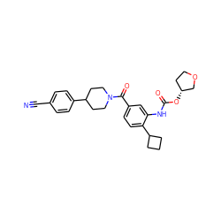 N#Cc1ccc(C2CCN(C(=O)c3ccc(C4CCC4)c(NC(=O)O[C@@H]4CCOC4)c3)CC2)cc1 ZINC000149360072