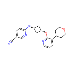 N#Cc1ccc(N[C@H]2C[C@@H](Oc3ncccc3C3CCOCC3)C2)nc1 ZINC000143813941