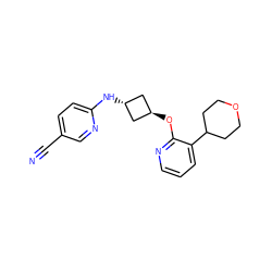 N#Cc1ccc(N[C@H]2C[C@H](Oc3ncccc3C3CCOCC3)C2)nc1 ZINC000144585283