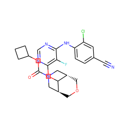 N#Cc1ccc(Nc2ncnc(OC3[C@H]4COC[C@H]3CN(C(=O)OC3CCC3)C4)c2F)c(Cl)c1 ZINC000148847366