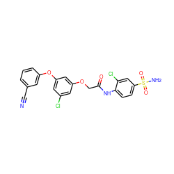 N#Cc1cccc(Oc2cc(Cl)cc(OCC(=O)Nc3ccc(S(N)(=O)=O)cc3Cl)c2)c1 ZINC000029043871