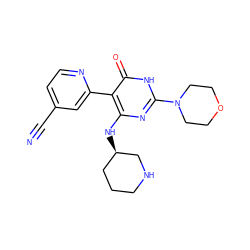 N#Cc1ccnc(-c2c(N[C@@H]3CCCNC3)nc(N3CCOCC3)[nH]c2=O)c1 ZINC000221553385