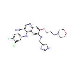 N#Cc1cnc2cc(OCCCN3CCOCC3)c(NCc3c[nH]cn3)cc2c1Nc1ccc(F)c(Cl)c1 ZINC000028604211