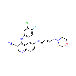 N#Cc1cnc2ccc(NC(=O)/C=C/CN3CCOCC3)cc2c1Nc1ccc(F)c(Cl)c1 ZINC000013492812