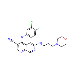 N#Cc1cnc2cnc(NCCCN3CCOCC3)cc2c1Nc1ccc(F)c(Cl)c1 ZINC000028529655