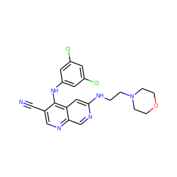 N#Cc1cnc2cnc(NCCN3CCOCC3)cc2c1Nc1cc(Cl)cc(Cl)c1 ZINC000028529734