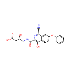 N#Cc1nc(C(=O)NC[C@@H](O)CC(=O)O)c(O)c2ccc(Oc3ccccc3)cc12 ZINC000146687256