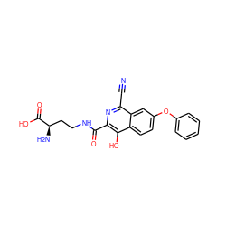 N#Cc1nc(C(=O)NCC[C@@H](N)C(=O)O)c(O)c2ccc(Oc3ccccc3)cc12 ZINC000146704215