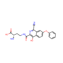 N#Cc1nc(C(=O)NCC[C@H](N)C(=O)O)c(O)c2ccc(Oc3ccccc3)cc12 ZINC000146731231