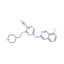 N#Cc1ncc(Nc2cc3cccc(Cl)c3cn2)nc1OCC1CCNCC1 ZINC000082152819