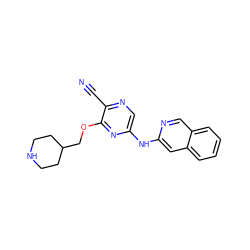 N#Cc1ncc(Nc2cc3ccccc3cn2)nc1OCC1CCNCC1 ZINC000073219025