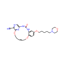 N#Cc1ncc2nc1OCC/C=C\COc1ccc(OCCCCCN3CCOCC3)cc1NC(=O)N2 ZINC000028826105