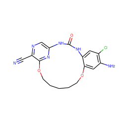 N#Cc1ncc2nc1OCCCCCOc1cc(N)c(Cl)cc1NC(=O)N2 ZINC000014958241