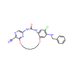 N#Cc1ncc2nc1OCCCCCOc1cc(NCc3ccccc3)c(Cl)cc1NC(=O)N2 ZINC000014958276