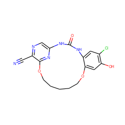 N#Cc1ncc2nc1OCCCCCOc1cc(O)c(Cl)cc1NC(=O)N2 ZINC000014958175