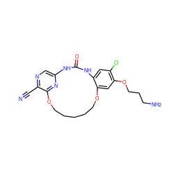 N#Cc1ncc2nc1OCCCCCOc1cc(OCCCN)c(Cl)cc1NC(=O)N2 ZINC000014958184