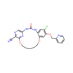 N#Cc1ncc2nc1OCCCCCOc1cc(OCc3ccccn3)c(Cl)cc1NC(=O)N2 ZINC000014958234