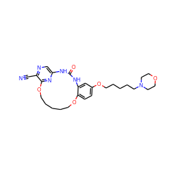 N#Cc1ncc2nc1OCCCCCOc1ccc(OCCCCCN3CCOCC3)cc1NC(=O)N2 ZINC000028826239