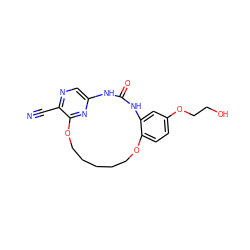 N#Cc1ncc2nc1OCCCCCOc1ccc(OCCO)cc1NC(=O)N2 ZINC000028826261