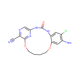 N#Cc1ncc2nc1OCCCCOc1cc(N)c(Cl)cc1NC(=O)N2 ZINC000028963209