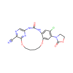 N#Cc1ncc2nc1OCCCCOc1cc(N3CCOC3=O)c(Cl)cc1NC(=O)N2 ZINC000028963254