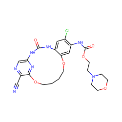 N#Cc1ncc2nc1OCCCCOc1cc(NC(=O)OCCN3CCOCC3)c(Cl)cc1NC(=O)N2 ZINC000028963247