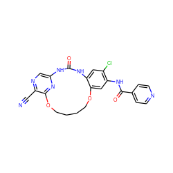 N#Cc1ncc2nc1OCCCCOc1cc(NC(=O)c3ccncc3)c(Cl)cc1NC(=O)N2 ZINC000028963236