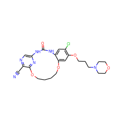 N#Cc1ncc2nc1OCCCCOc1cc(OCCCN3CCOCC3)c(Cl)cc1NC(=O)N2 ZINC000028963284