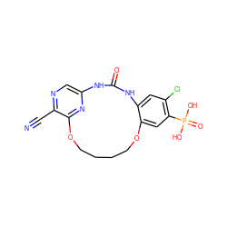 N#Cc1ncc2nc1OCCCCOc1cc(P(=O)(O)O)c(Cl)cc1NC(=O)N2 ZINC000028963263