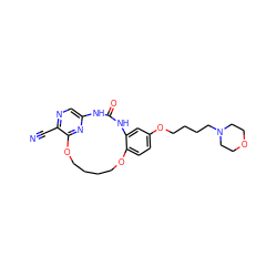 N#Cc1ncc2nc1OCCCCOc1ccc(OCCCCN3CCOCC3)cc1NC(=O)N2 ZINC000028826318