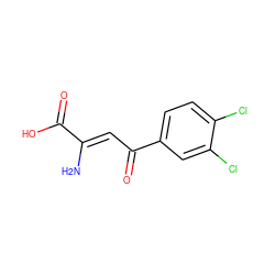 N/C(=C\C(=O)c1ccc(Cl)c(Cl)c1)C(=O)O ZINC000100773353