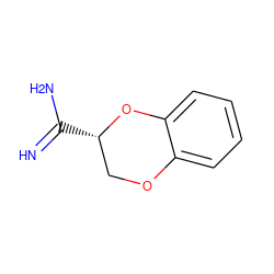 N=C(N)[C@H]1COc2ccccc2O1 ZINC000002570483