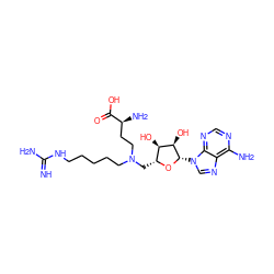 N=C(N)NCCCCCN(CC[C@H](N)C(=O)O)C[C@H]1O[C@@H](n2cnc3c(N)ncnc32)[C@H](O)[C@@H]1O ZINC000049070963