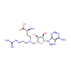 N=C(N)NCCCN(CC[C@H](N)C(=O)O)C[C@H]1O[C@@H](n2cnc3c(N)ncnc32)[C@H](O)[C@@H]1O ZINC000049113375