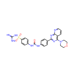 N=C(N)NS(=O)(=O)c1ccc(NC(=O)Nc2ccc(-c3nc(N4CCOCC4)c4cccnc4n3)cc2)cc1 ZINC001772615880