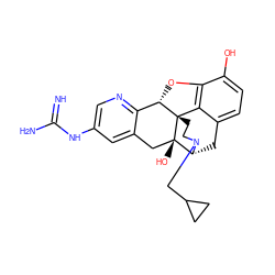 N=C(N)Nc1cnc2c(c1)C[C@@]1(O)[C@H]3Cc4ccc(O)c5c4[C@@]1(CCN3CC1CC1)[C@H]2O5 ZINC000013487528