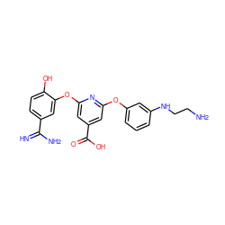 N=C(N)c1ccc(O)c(Oc2cc(C(=O)O)cc(Oc3cccc(NCCN)c3)n2)c1 ZINC000013474072