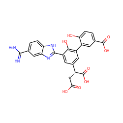 N=C(N)c1ccc2[nH]c(-c3cc([C@@H](CC(=O)O)C(=O)O)cc(-c4cc(C(=O)O)ccc4O)c3O)nc2c1 ZINC000028571844