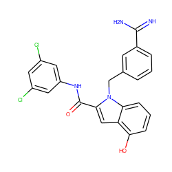 N=C(N)c1cccc(Cn2c(C(=O)Nc3cc(Cl)cc(Cl)c3)cc3c(O)cccc32)c1 ZINC000003831868